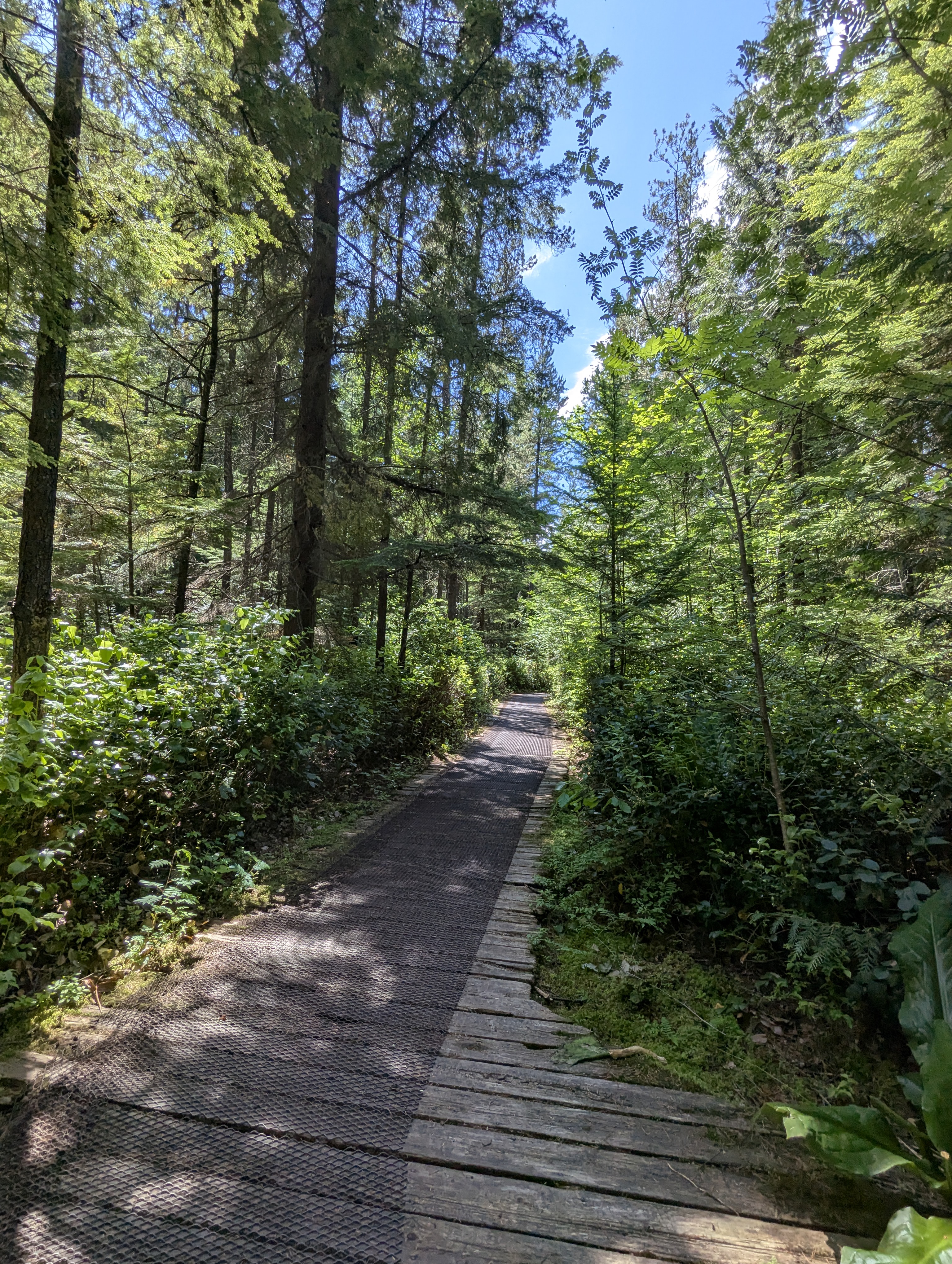 Birthday Trip to Canada, Delta, Burns Bog, Vancouver, British Columbia